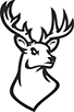 deer3
