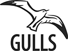 gull2