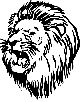 lion14