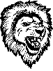 lion18