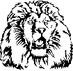 lion21