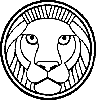 lion23
