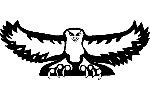 owl10